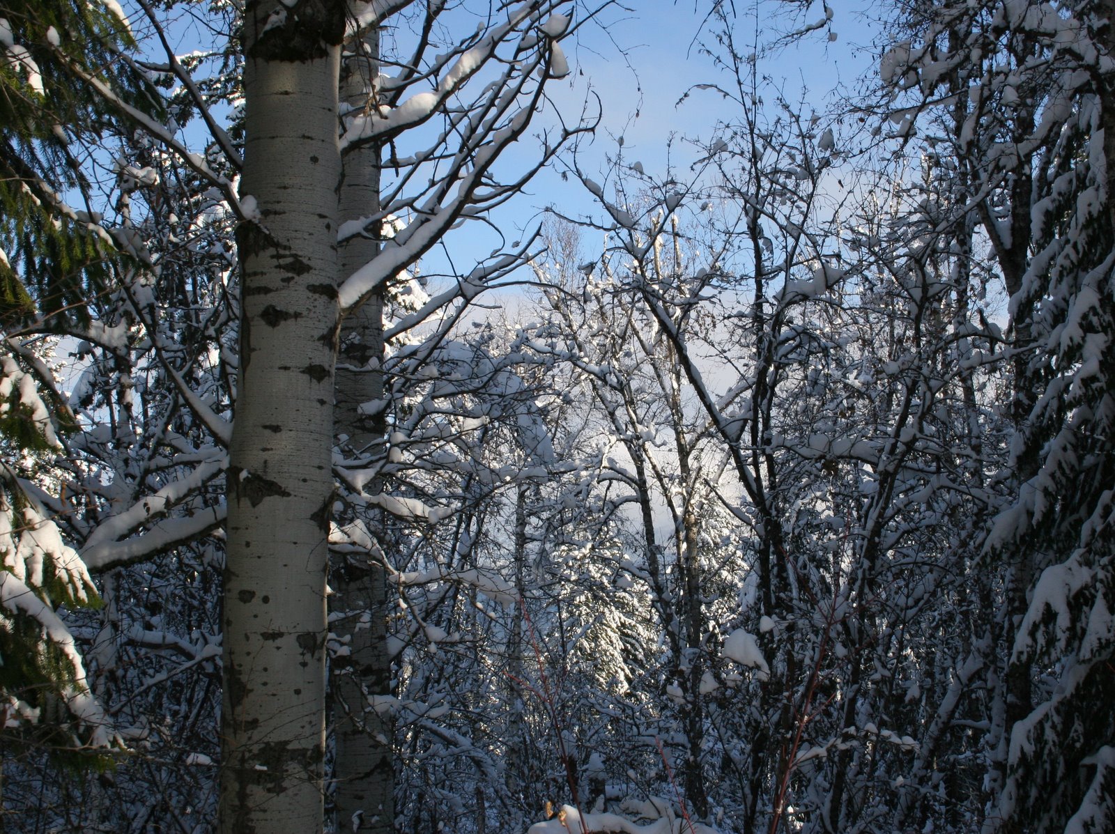 [IMG_9012-1.JPG]