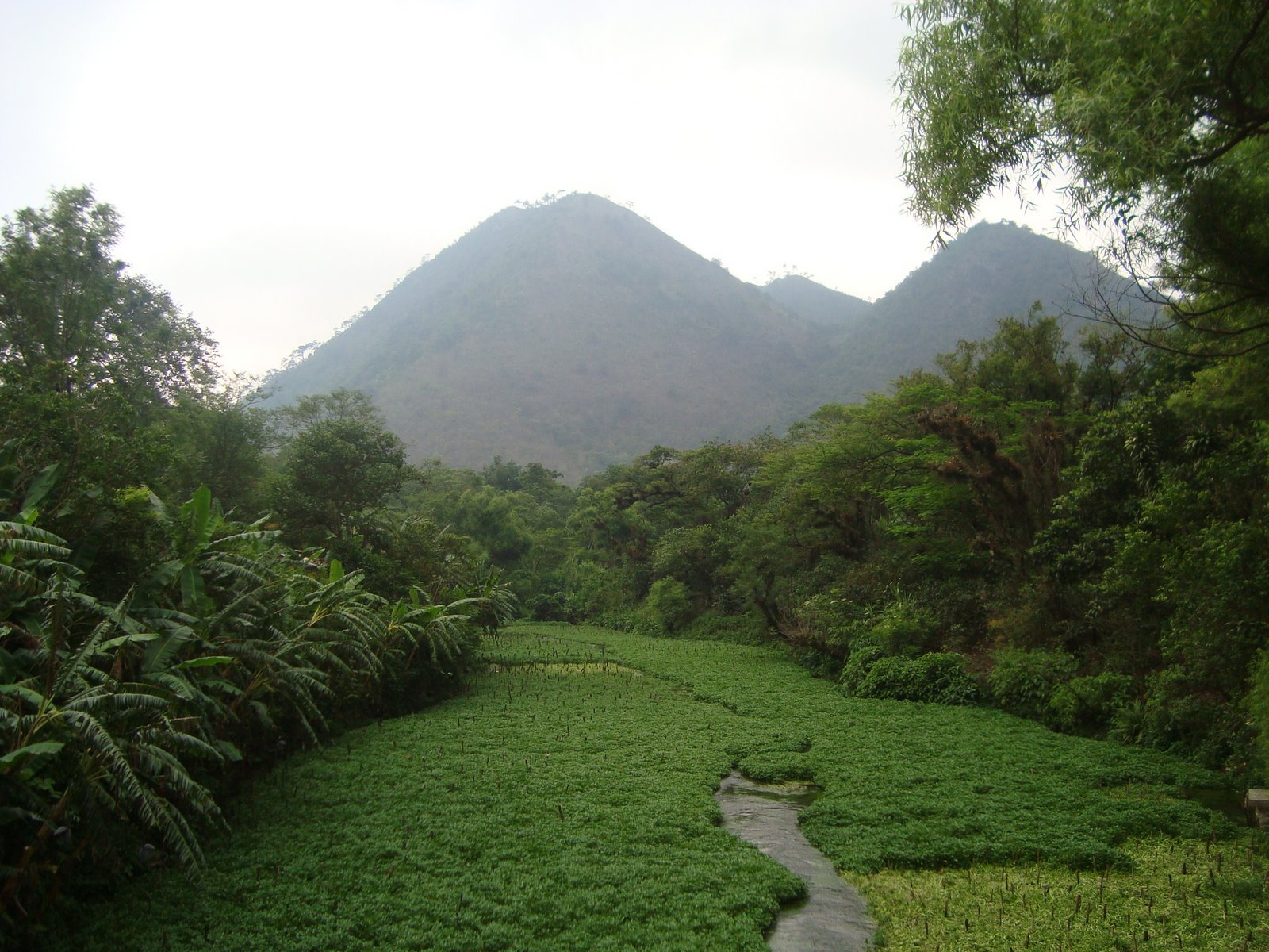 [DSC03073.JPG]