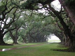 Oak Alley