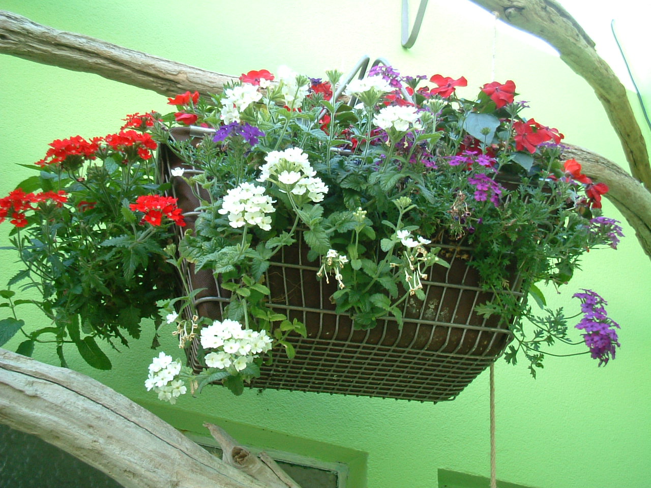 [DSCF0064.JPG]