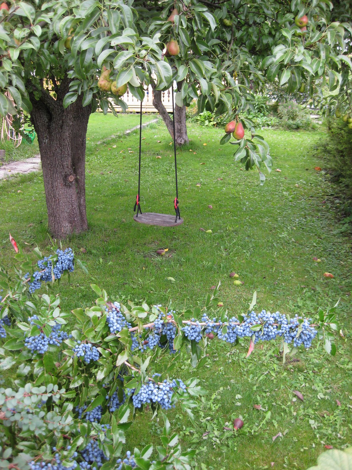[IMG_1158.JPG]