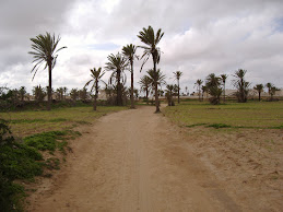 chemins de Jerba