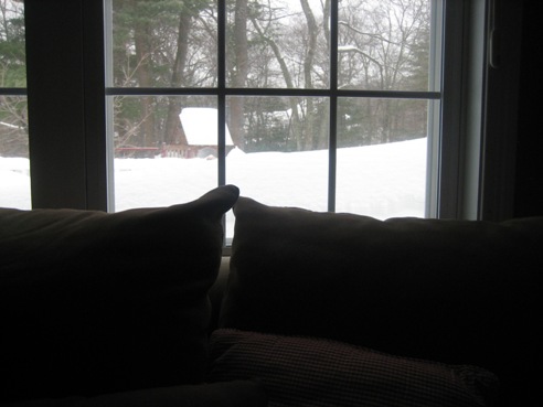 Snow In Window