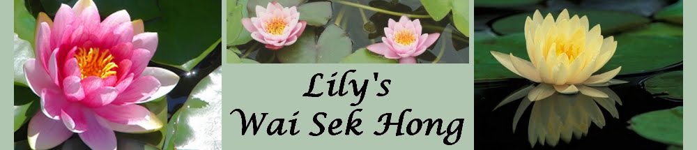 Lily's Wai Sek Hong