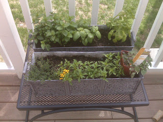 Everyday Gourmet: Window Box Herb Garden