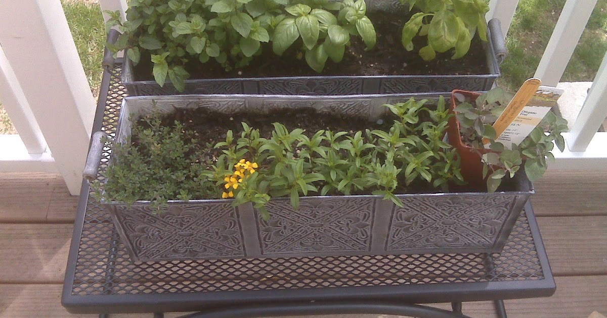 Everyday Gourmet: Window Box Herb Garden