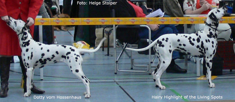 [dotty_annaberg08.jpg]