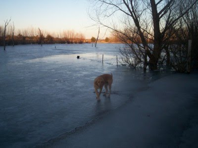 On frozen pond...