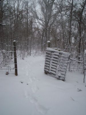 Go thru this gate to get to cabin