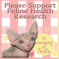 WINN FELINE FOUNDATION