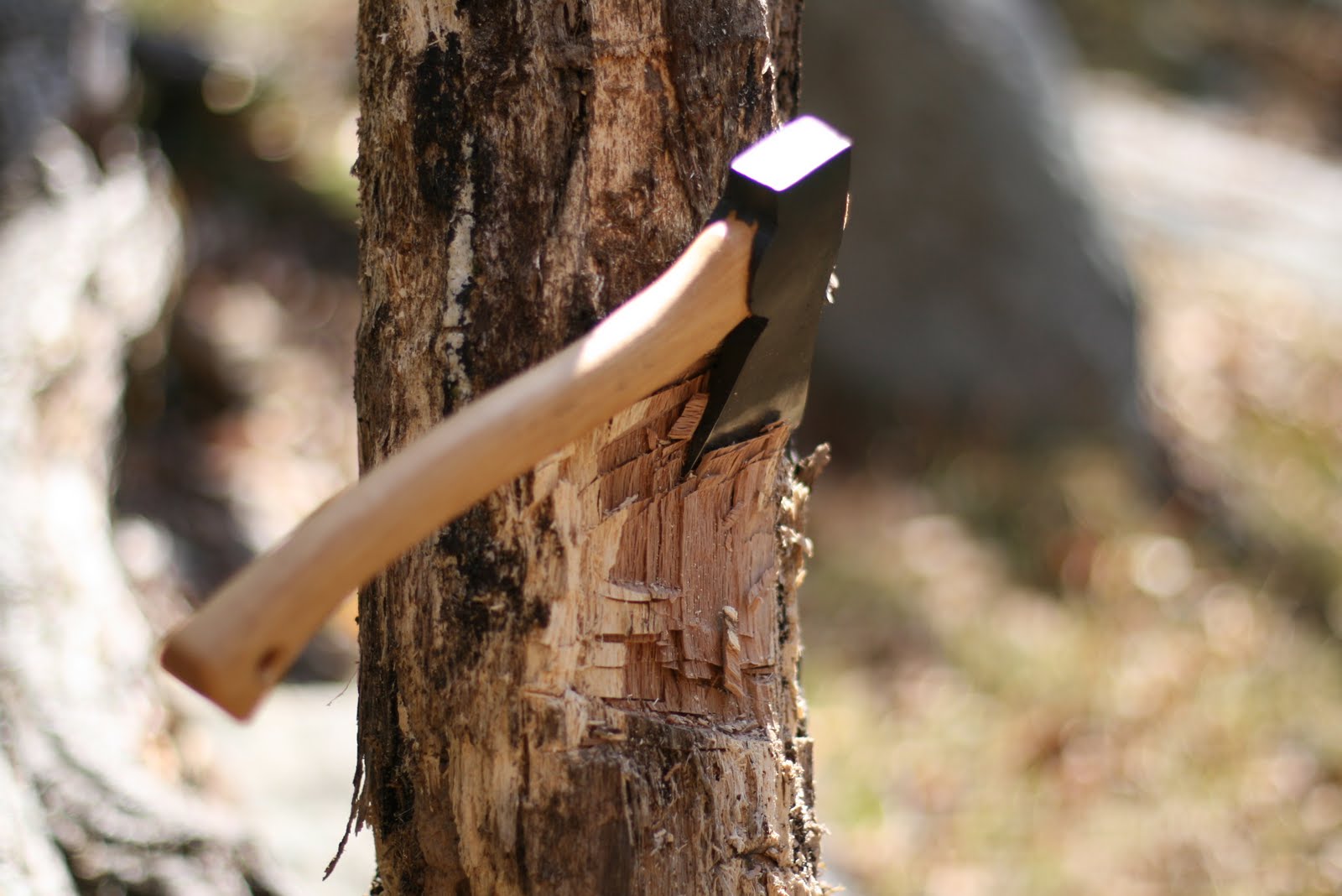 Wood Trekker The Importance of a Sharp Axe