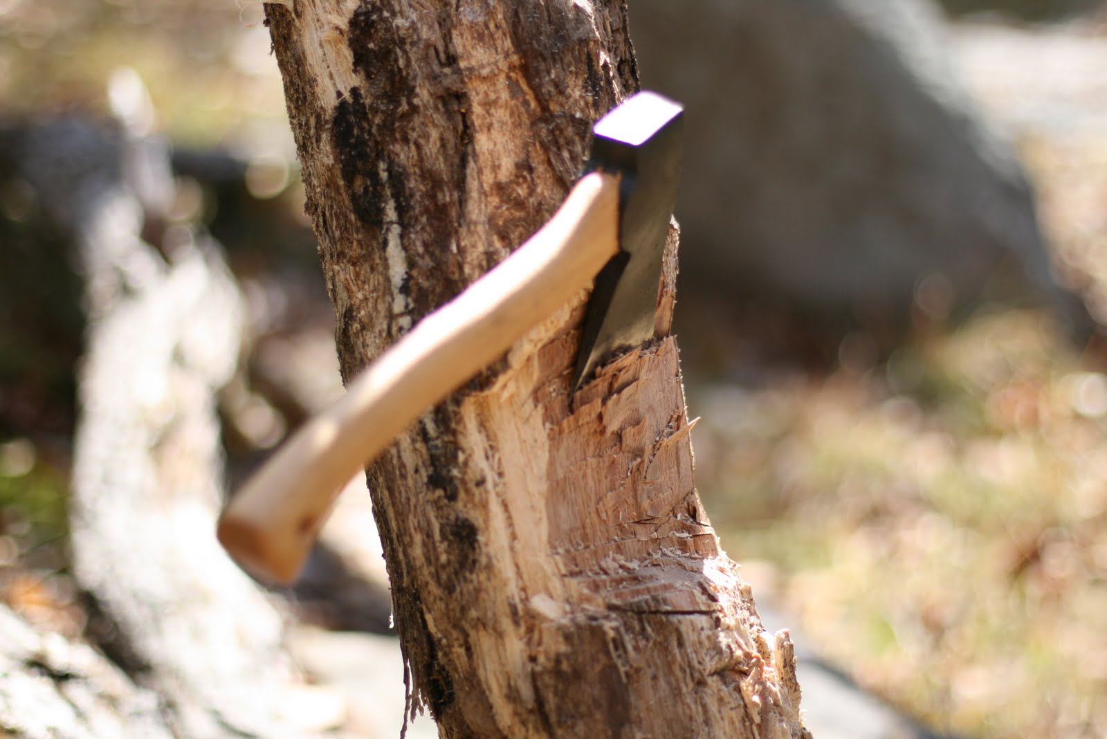 tree axe
