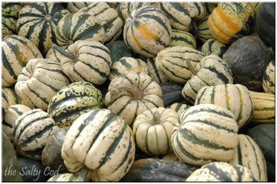 green squash green squash