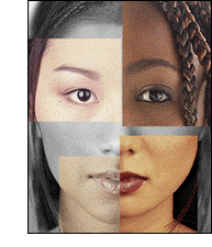 essay on five faces of oppression essay on five faces of oppression