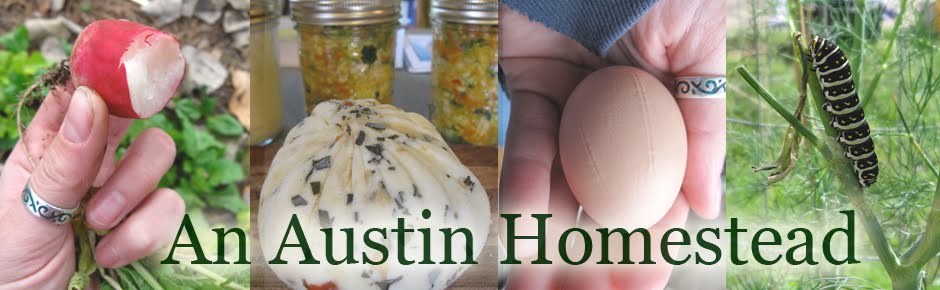 An Austin Homestead