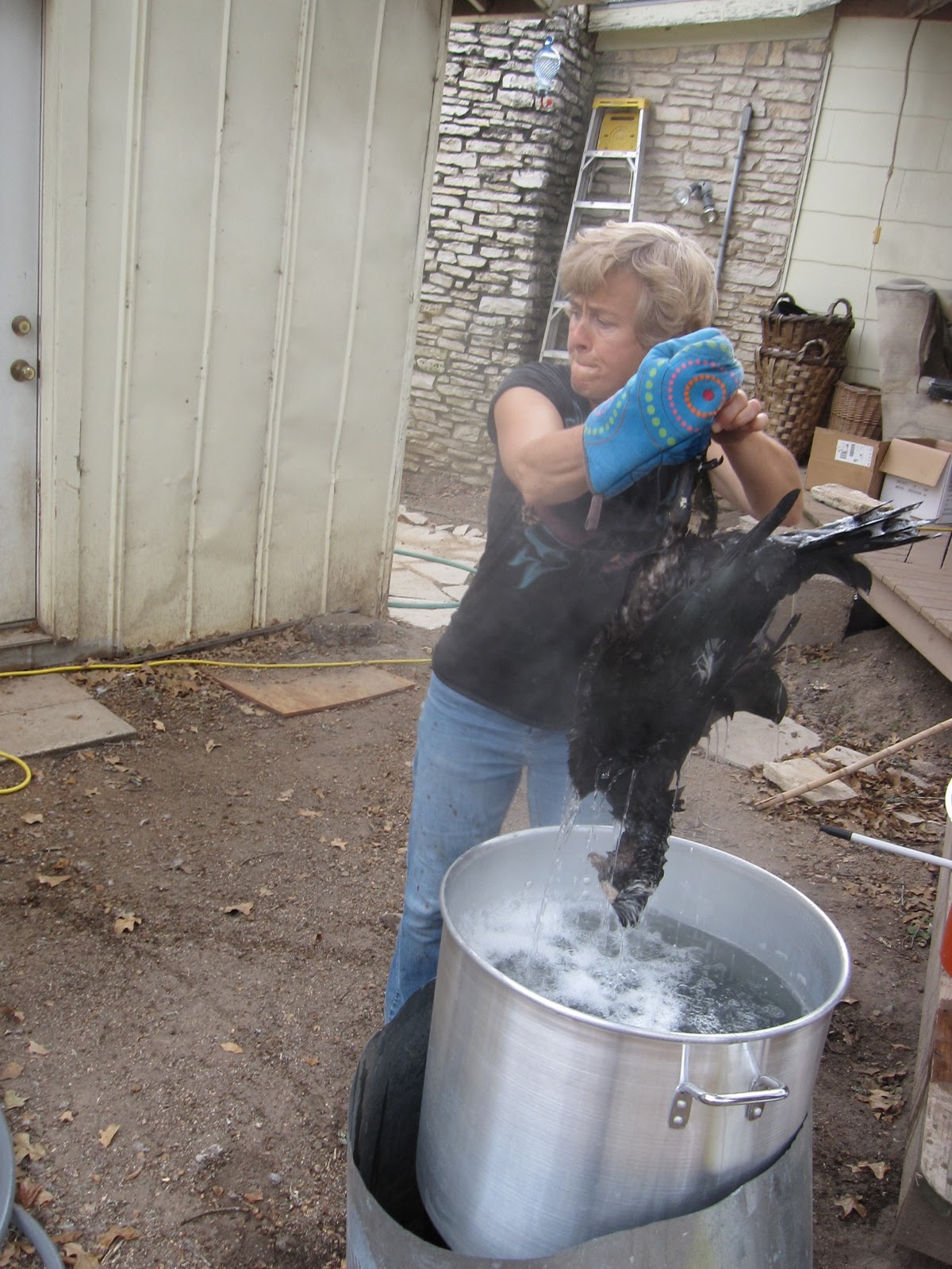 An Austin Homestead Farm to Table Processing Ducks