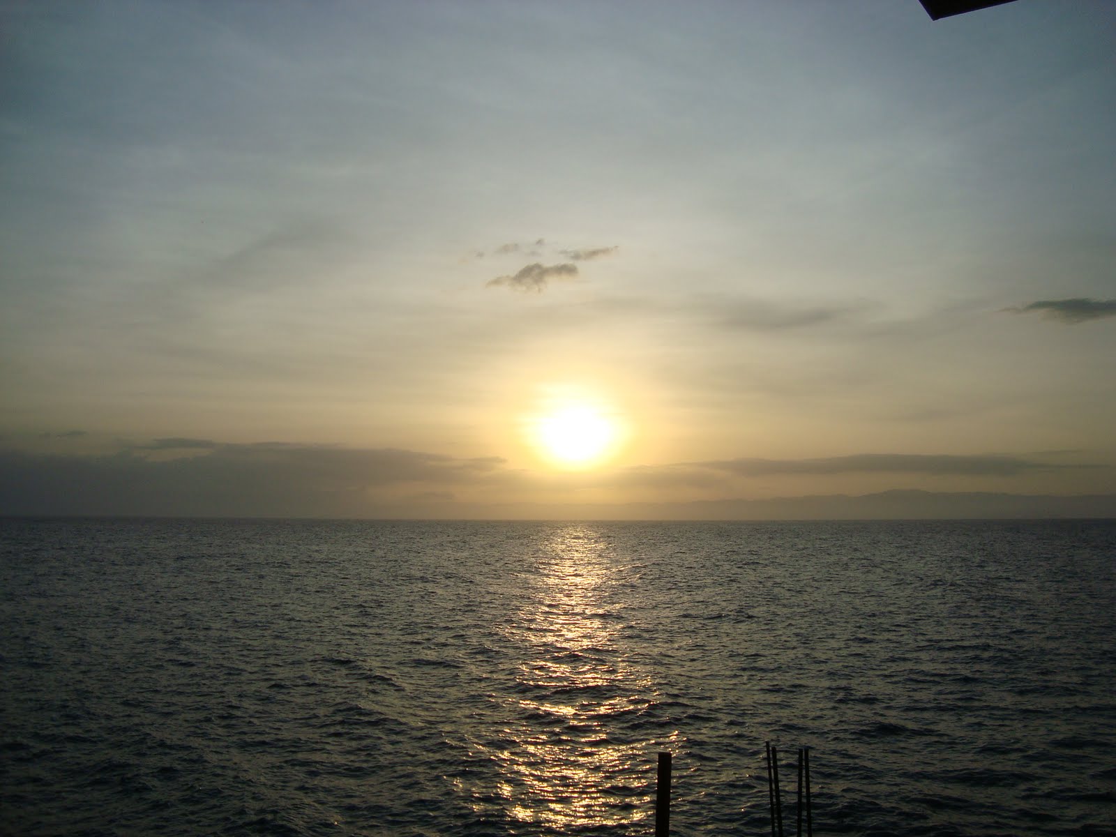 [DSC03463.JPG]