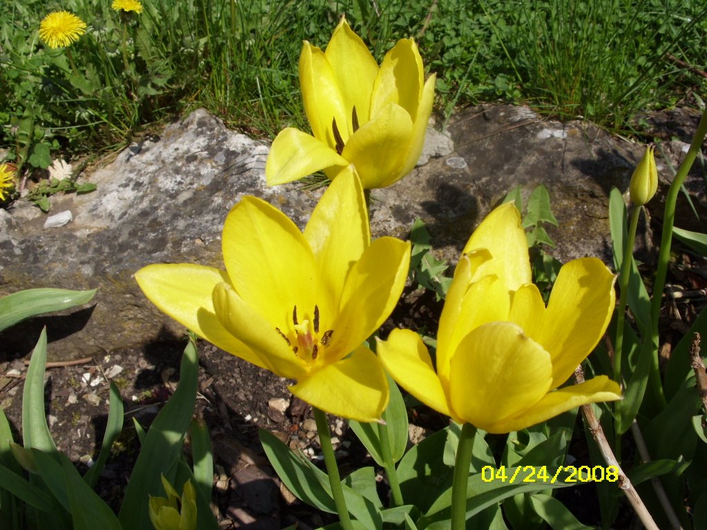 [April242008-hohenfels008.JPG]