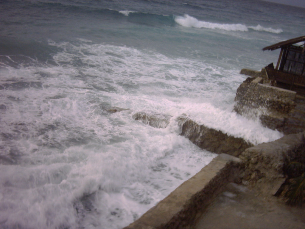 [DSCW0193.JPG]