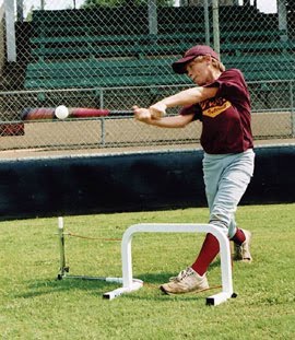 [handsbackhittertrainer.jpg]