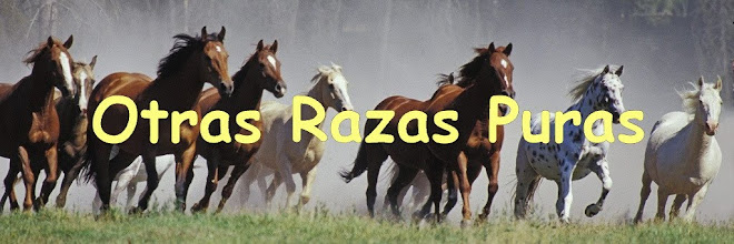 OTRAS RAZAS PURAS