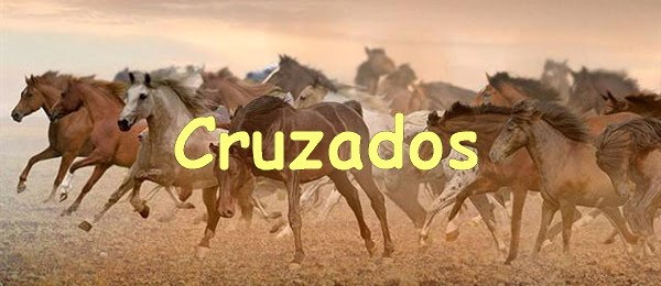 CRUZADOS