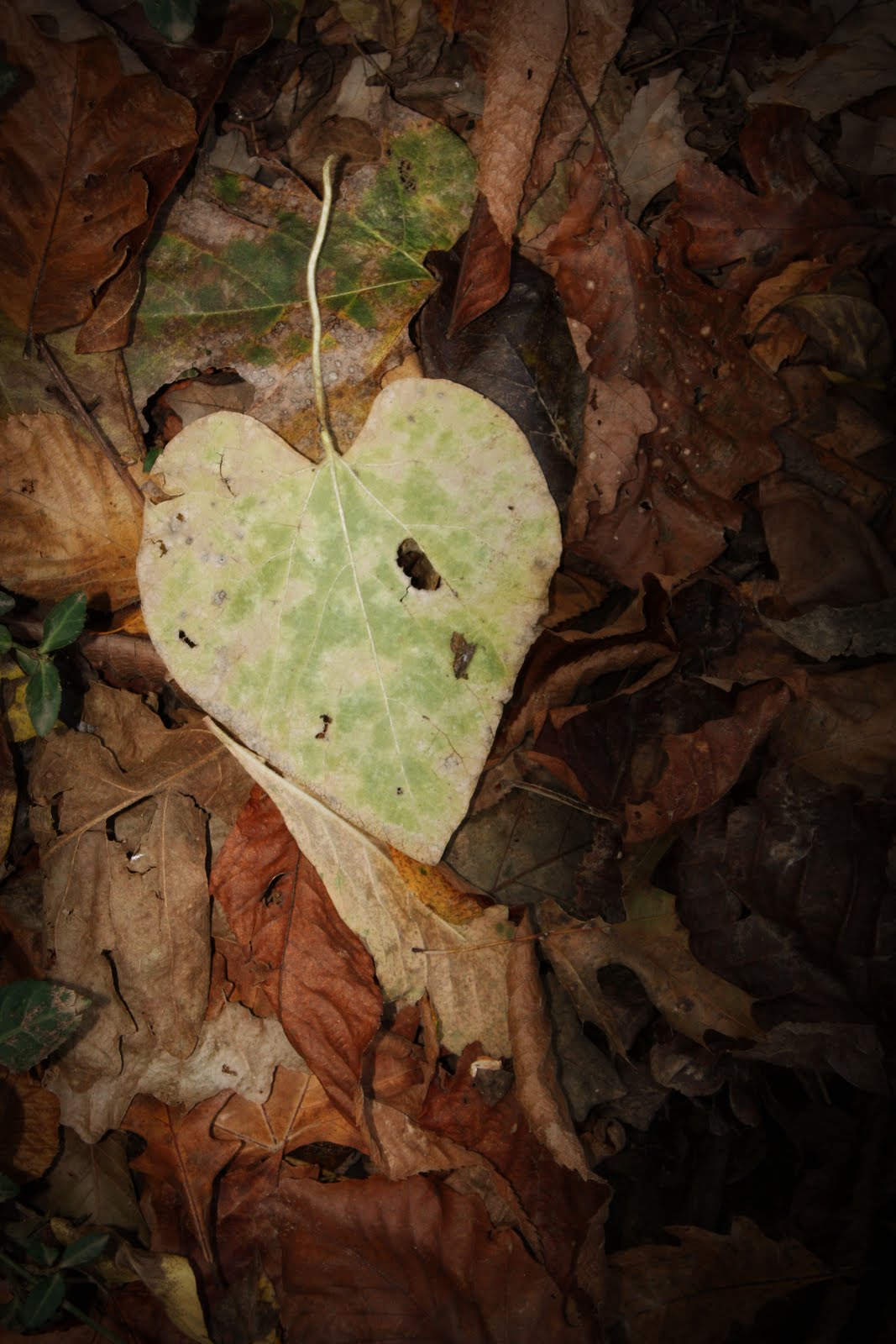 [IMG_1425.JPG]