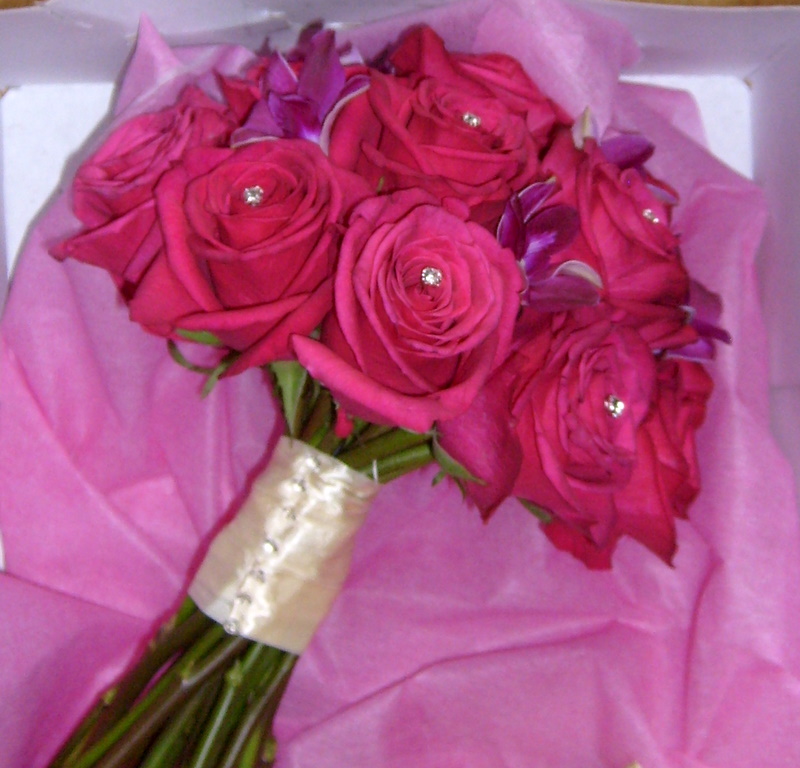 cerise pink roses