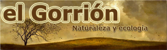 el Gorrión blog: naturaleza y ecología