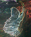 angel wings