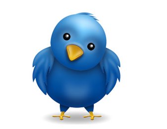 [twitter-icon.bmp]