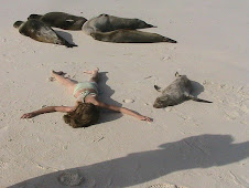 Lizzie and Seals