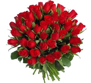 [Roses+Rouges+2.jpg]