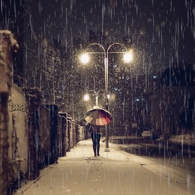 [untitled.bmp]