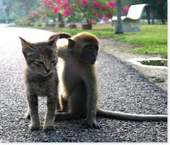 O amor é a força mais sutil do mundo!