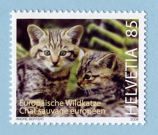Switzerland 2009 European Wildcats