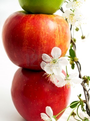 [Apples+&+flowers.jpg]