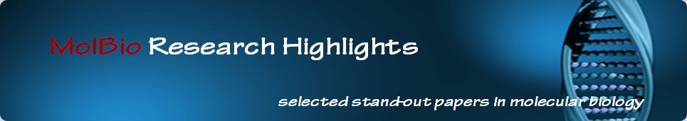 MolBio Research Highlights