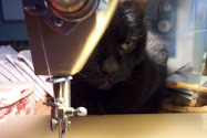 Stinkie Sews!