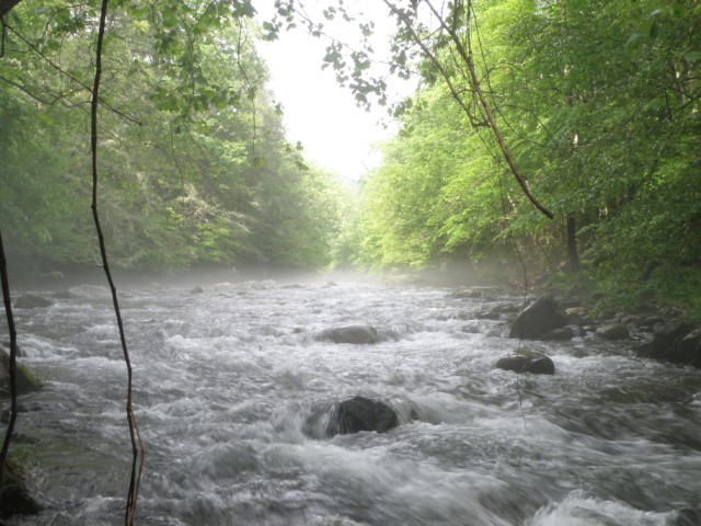 [Little+River+in+Smokey+Mts+(640+x+480).jpg]