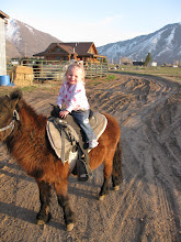 Little Cowgirl