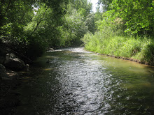 This is the river in my new back yard!!!!