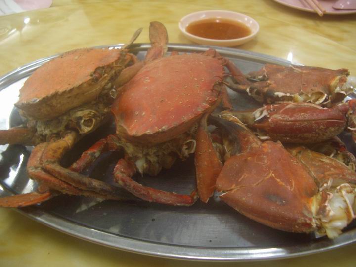 [Resize+of+IMGP7809.JPG]