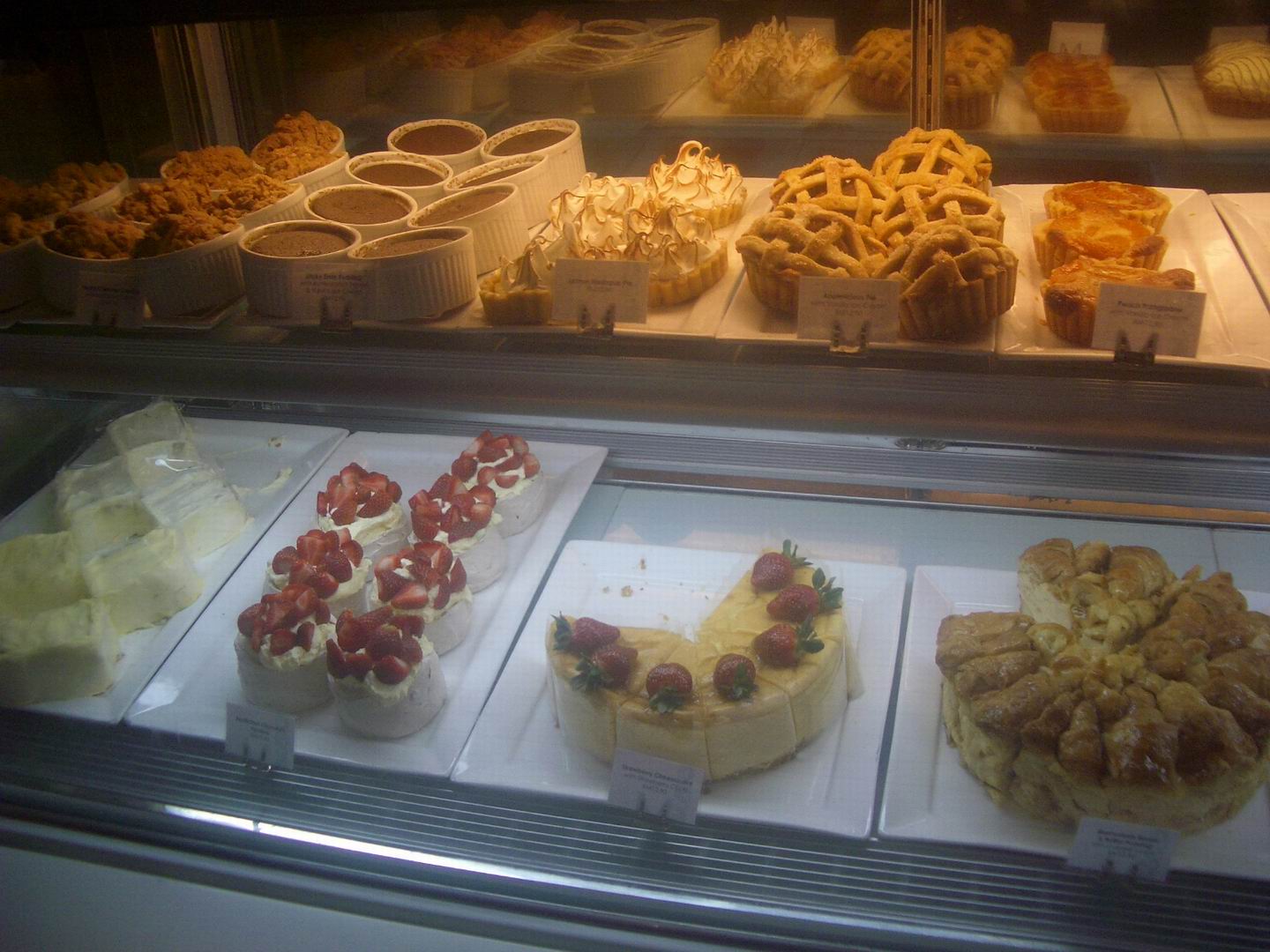 [Resize+of+IMGP8428.JPG]