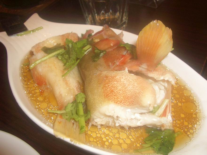 [Resize+of+IMGP8620.JPG]