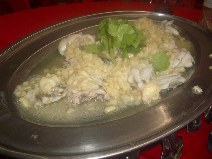 [Resize+of+IMGP9219.JPG]