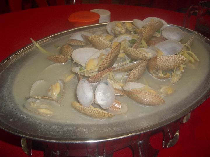 [Resize+of+IMGP9218.JPG]