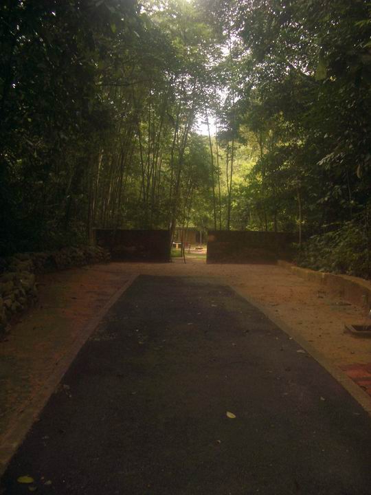 [Resize+of+IMGP9349.JPG]