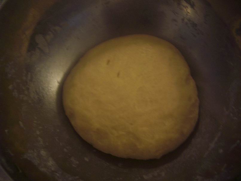 [Resize+of+IMGP0113.JPG]