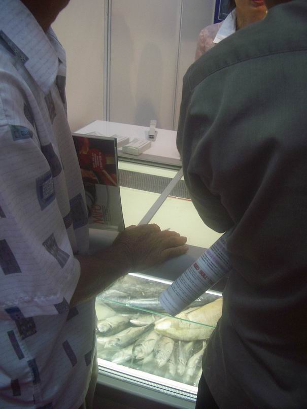 [Resize+of+IMGP0398.JPG]